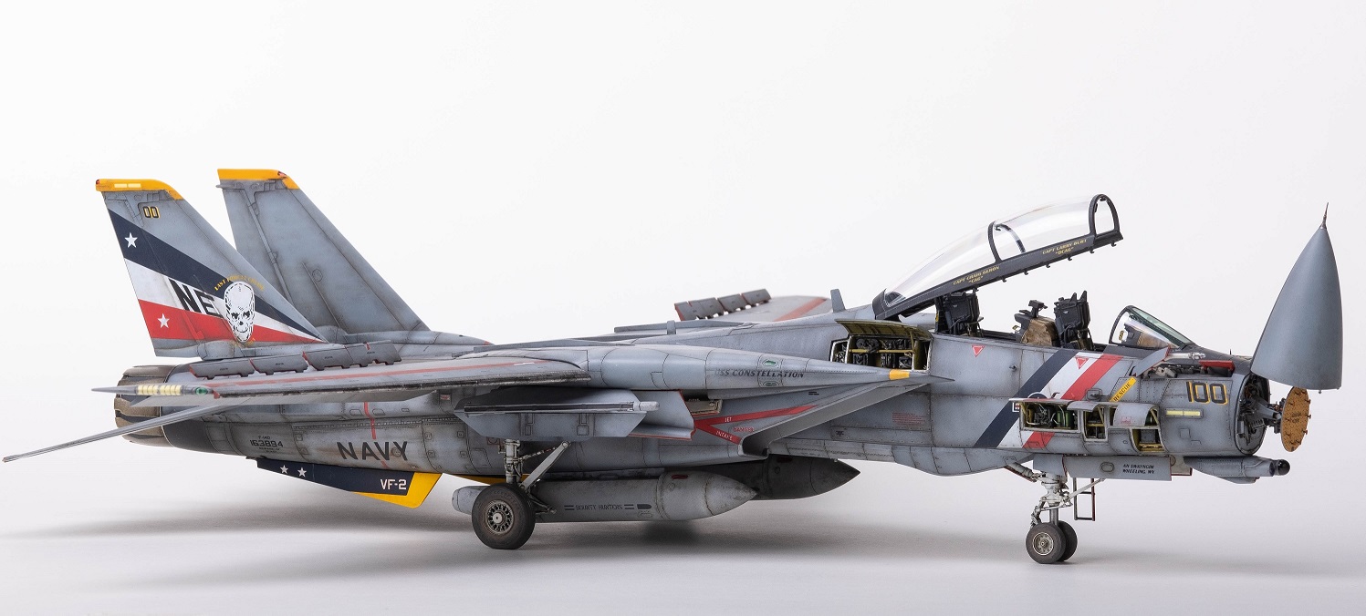 1/48 F-14D スーパートムキャット ｢スペシャルエディション｣ | 鉄道 