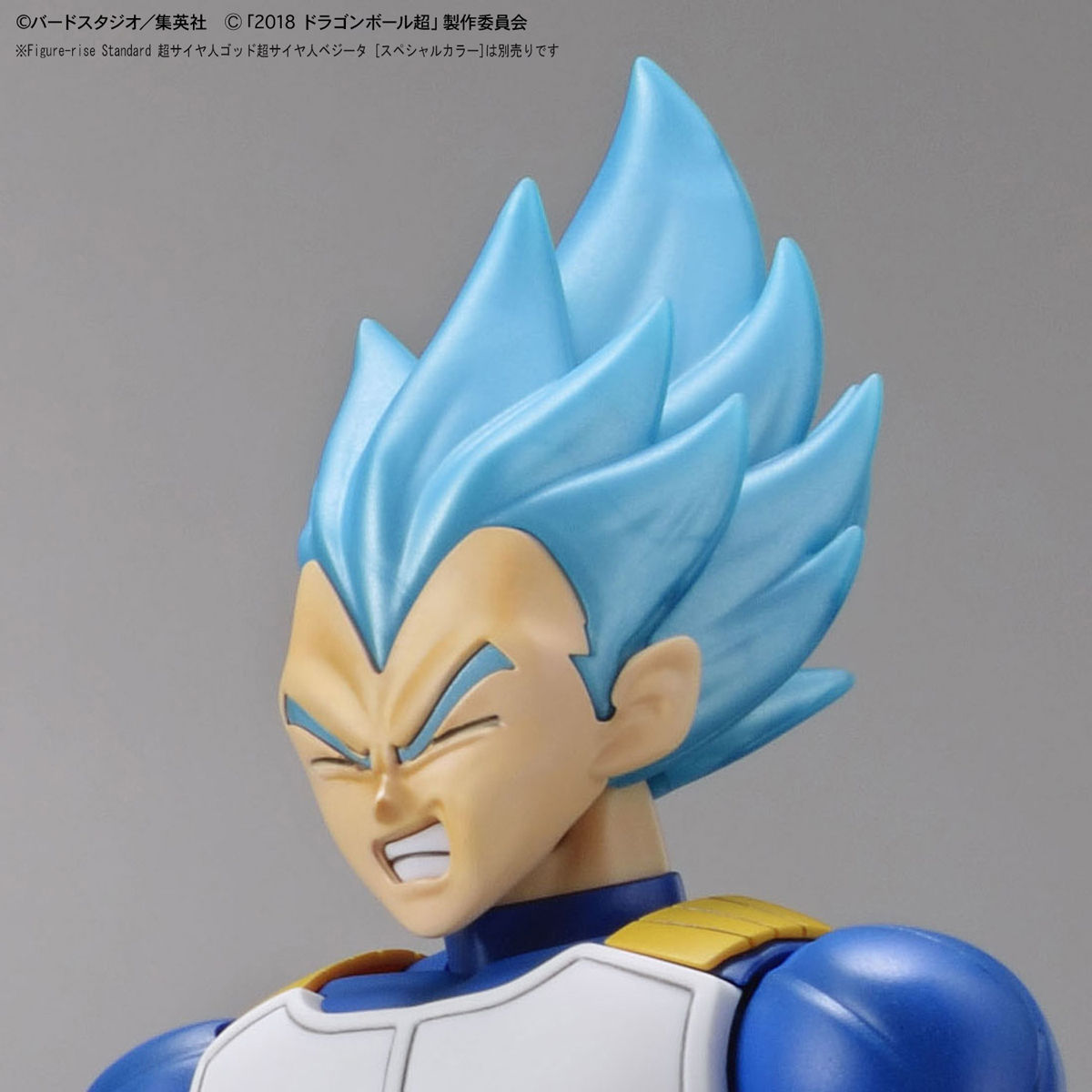 Figure-rise Standard 超サイヤ人ブロリーフルパワー『ドラゴンボール